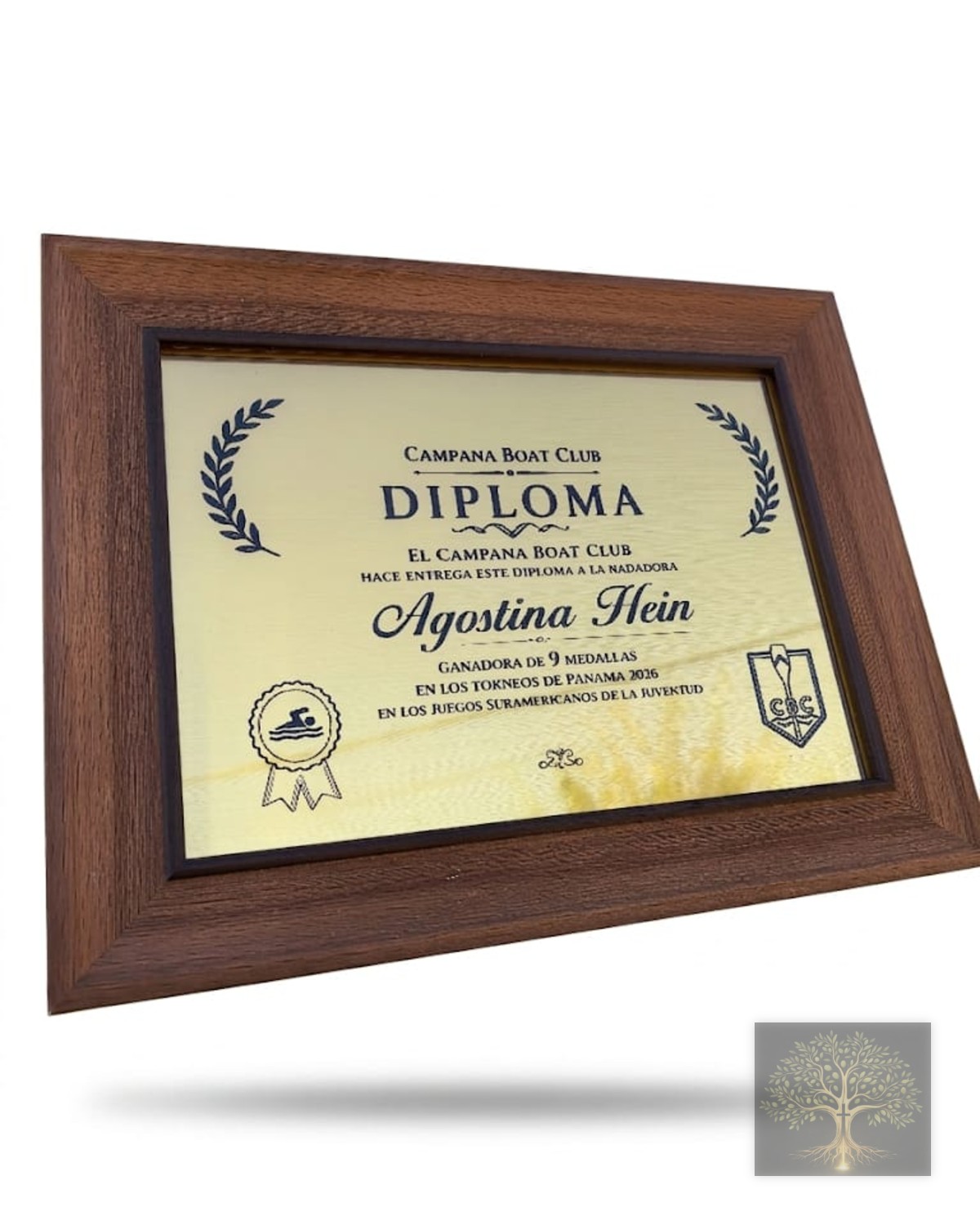 Placas de reconocimiento.