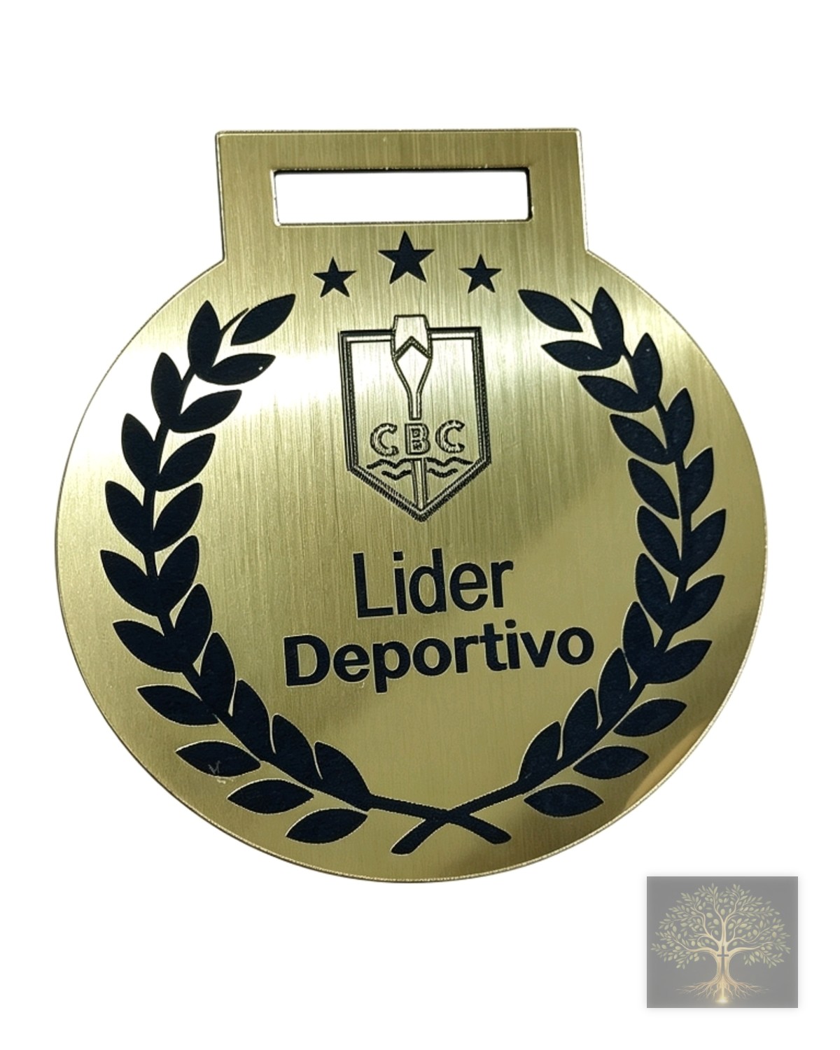 Medallas y trofeos. (1)